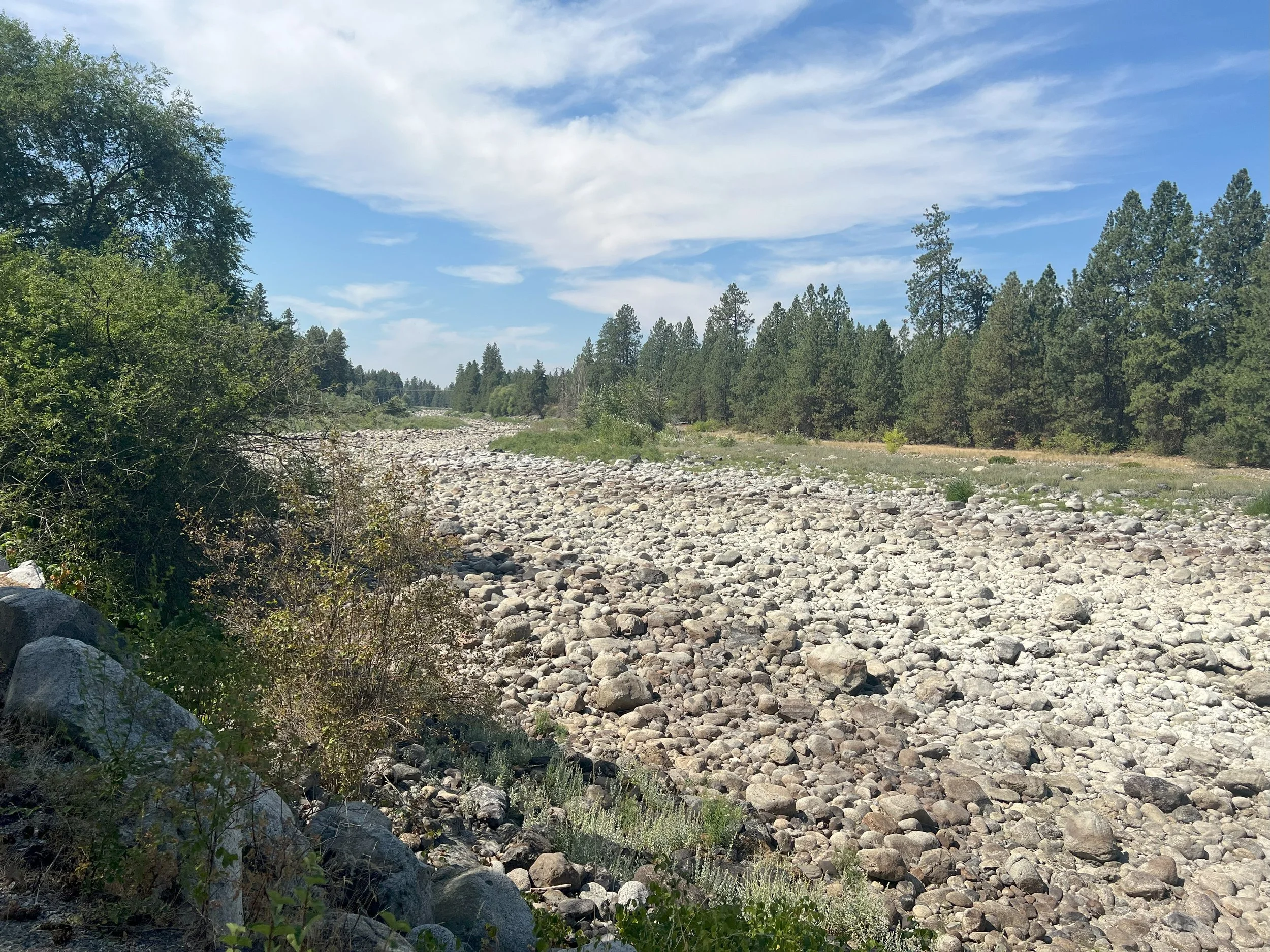 The Summer The River Disappeared: Documenting the Spokane River’s Dry Stretch