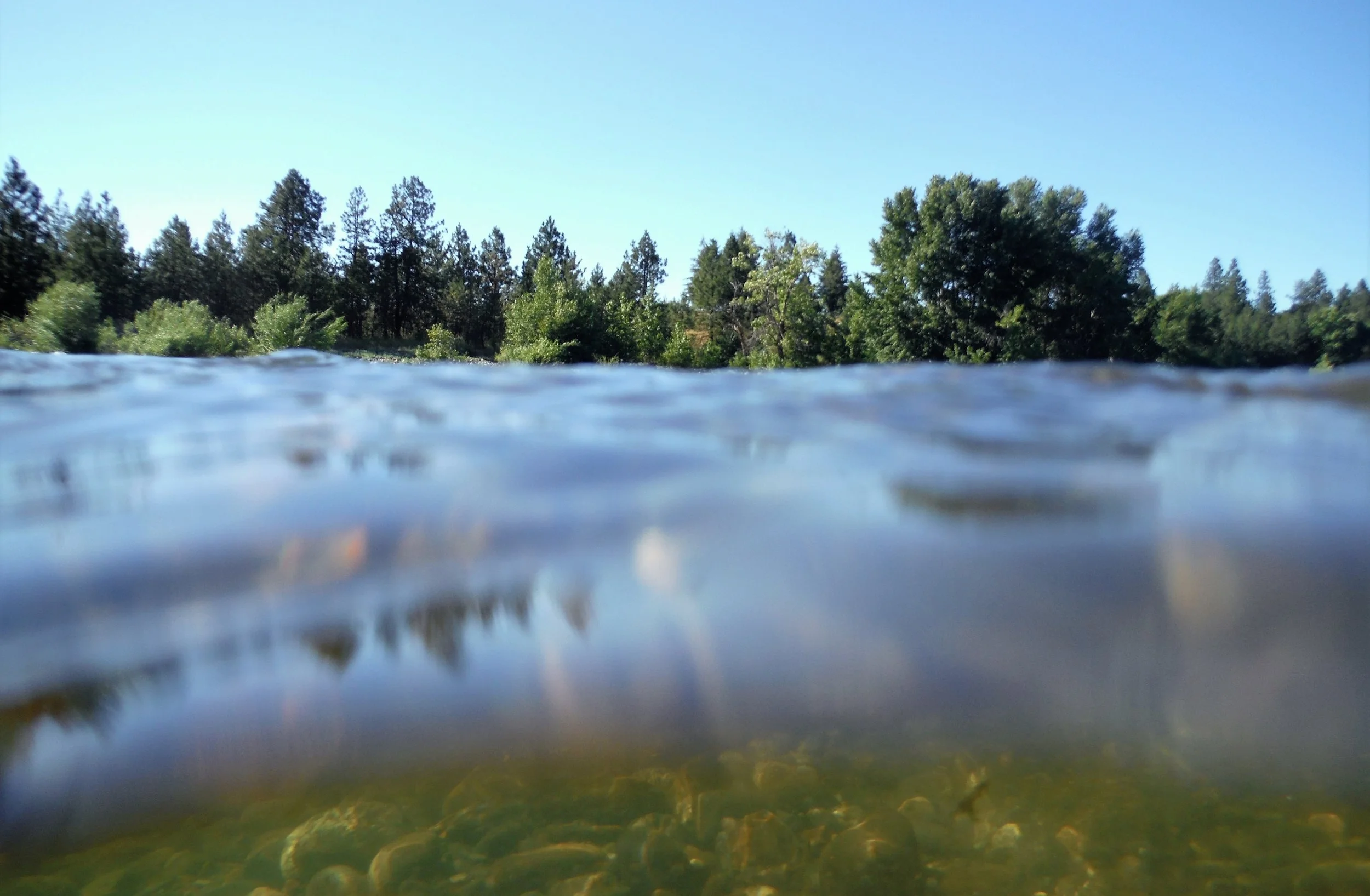 state-line-spokane-river.jpg