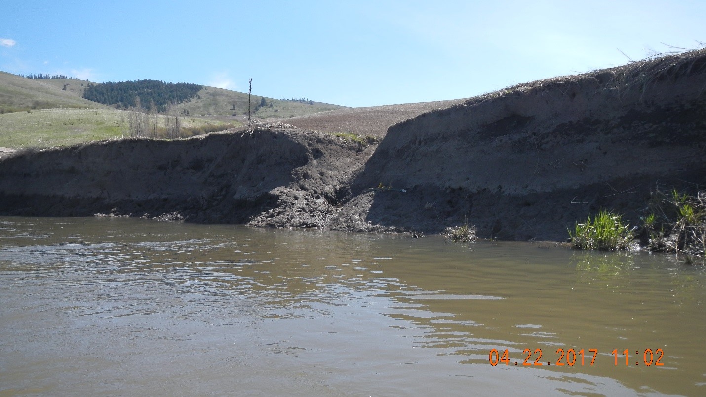 Destruction of riparian vegetation from agriculture erosion
