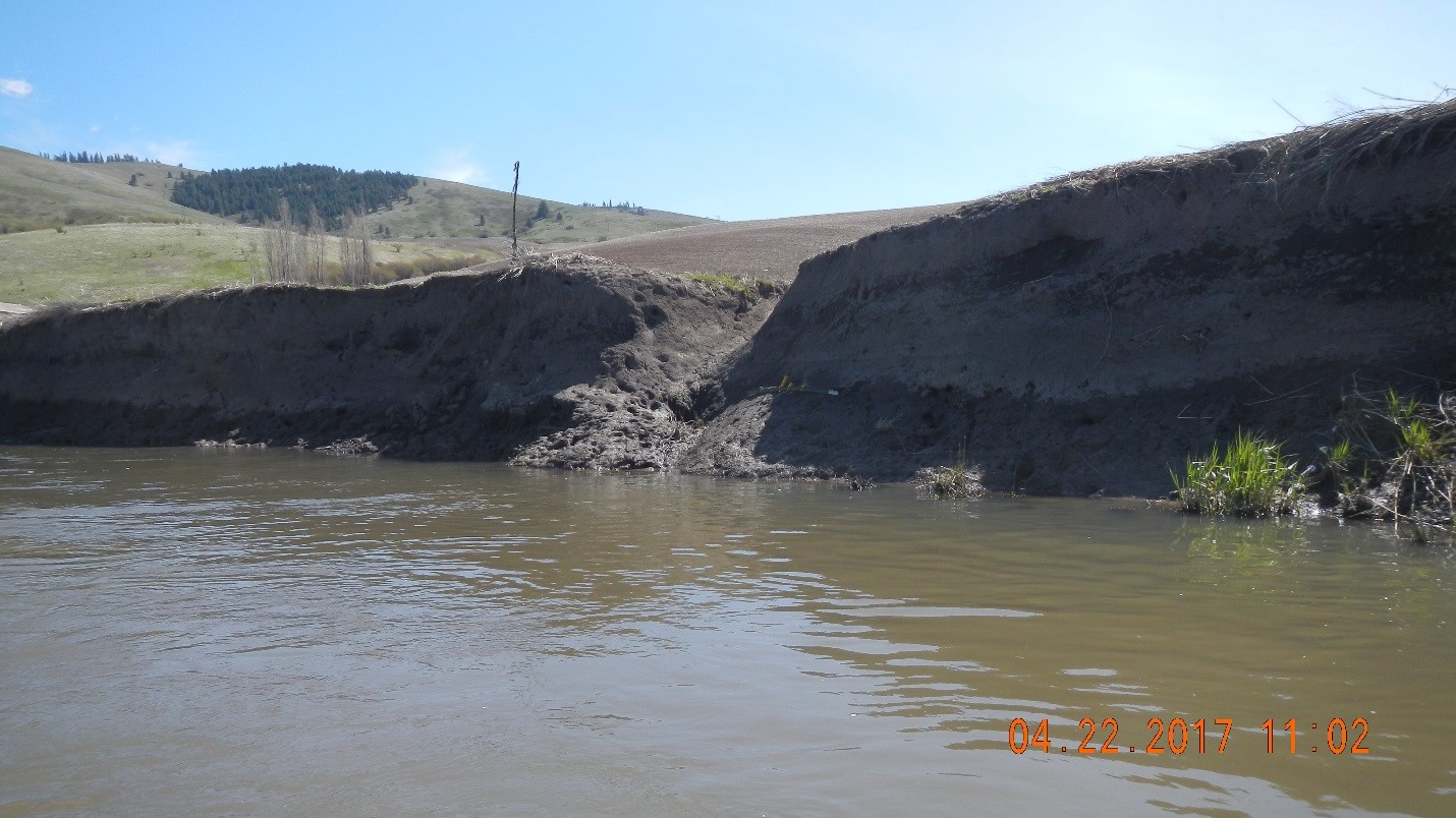 Destruction of riparian vegetation from agriculture errosion