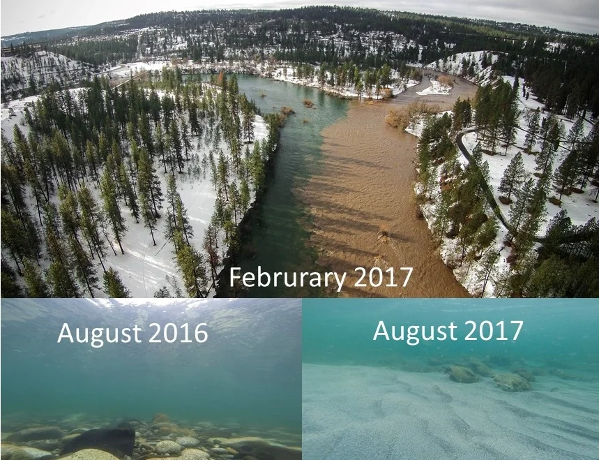 Flooding in winter of 2016-17 on Hangman Creek transported tons of sediment and covered substrate in the Spokane River that fish and insects depend on for spawning and habitat. Photos Cutboard Studios
