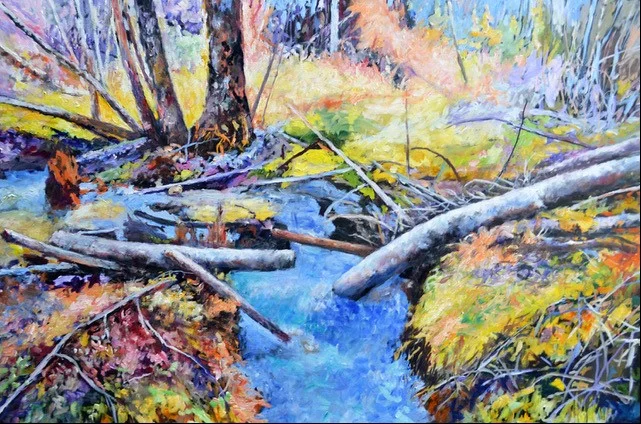 Iller Creek Spring Runoff