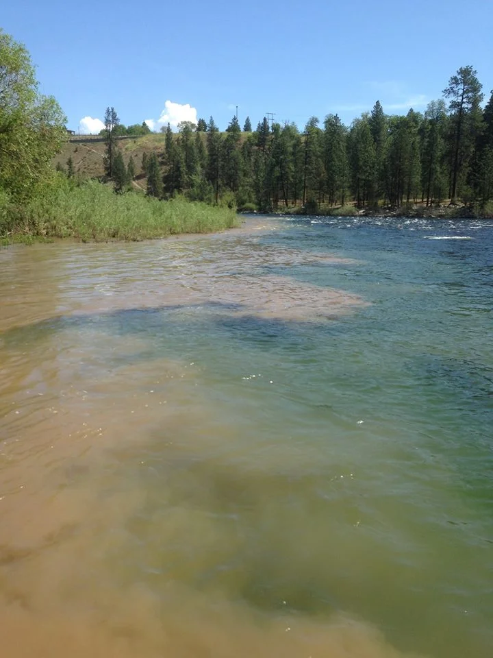 Hangman Creek pollutes the Spokane River with sediment for much of the winter and spring.