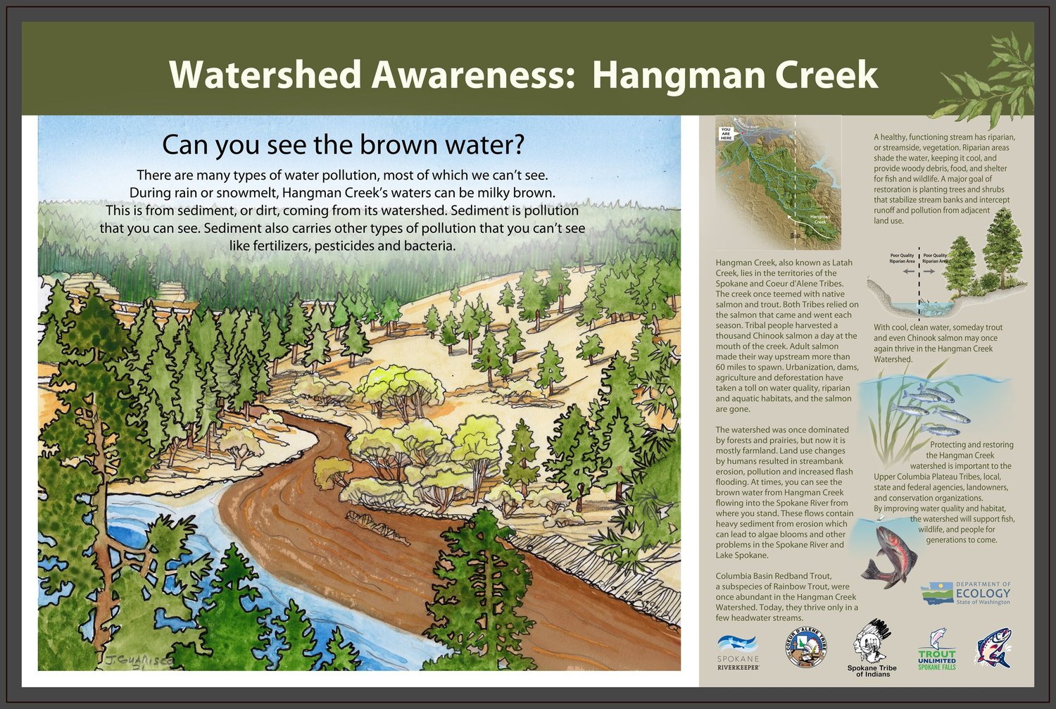 Riparian Destruction — Spokane Riverkeeper