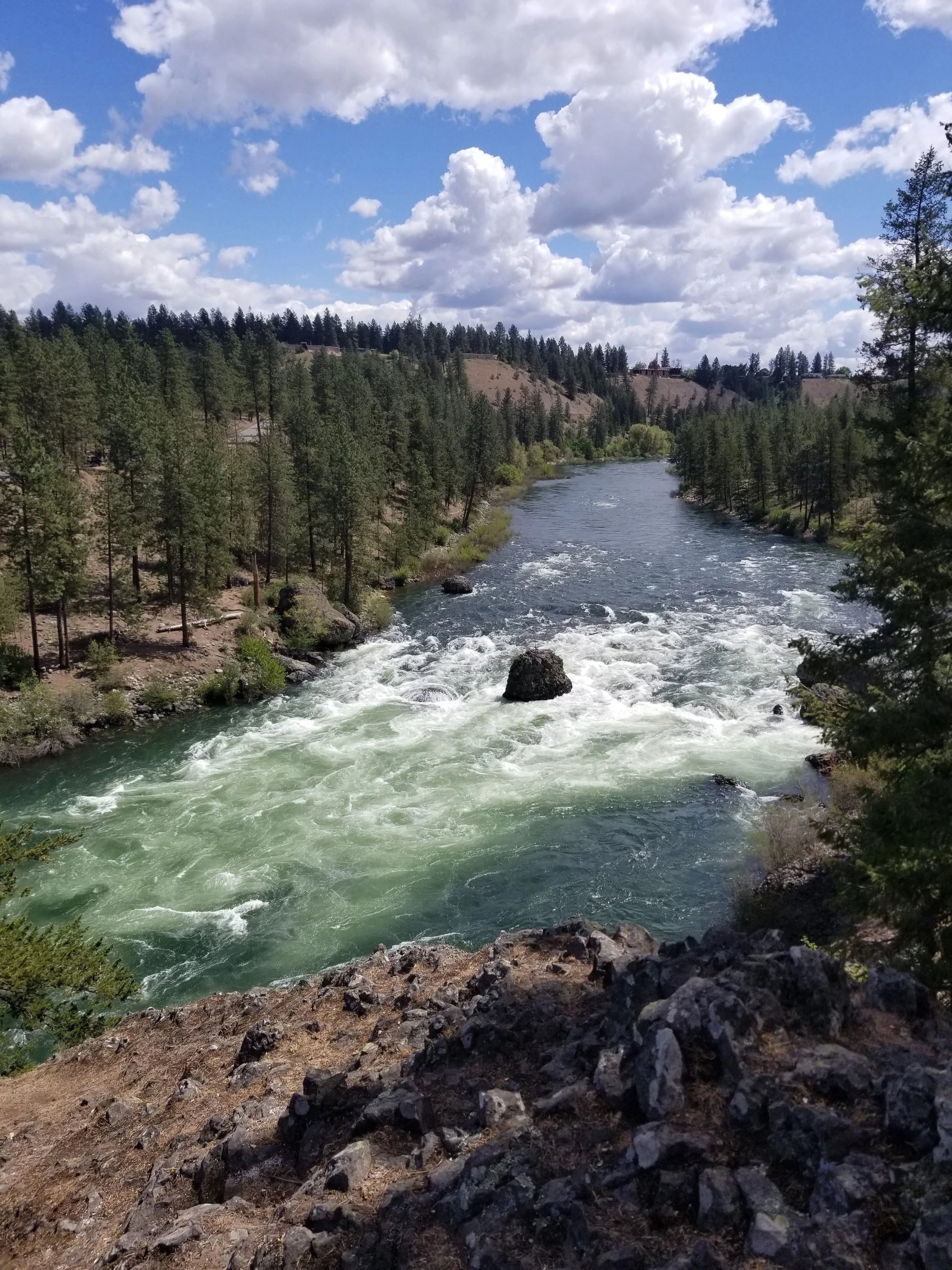 New Lawsuit Challenges Washington PCB Water Quality Standard
