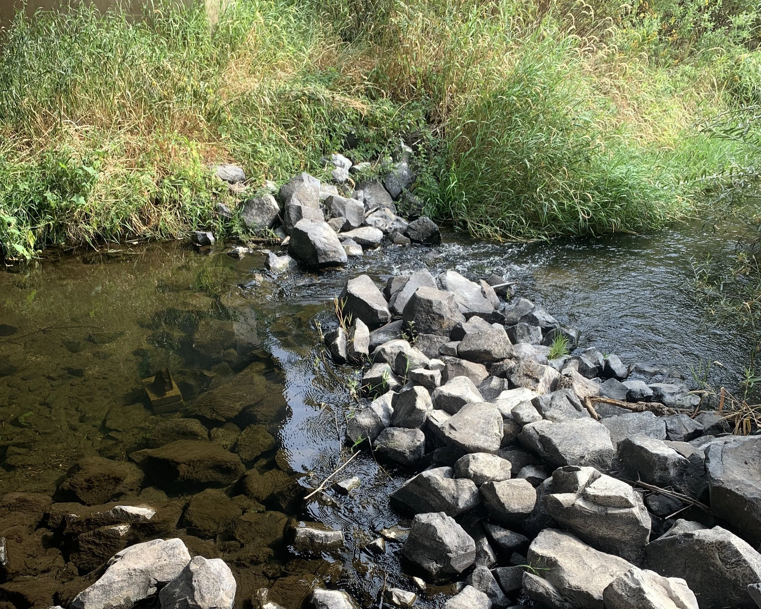 PFAS in Our Waters: New Data Links Biosolids to Dangerous Contamination in the Spokane River