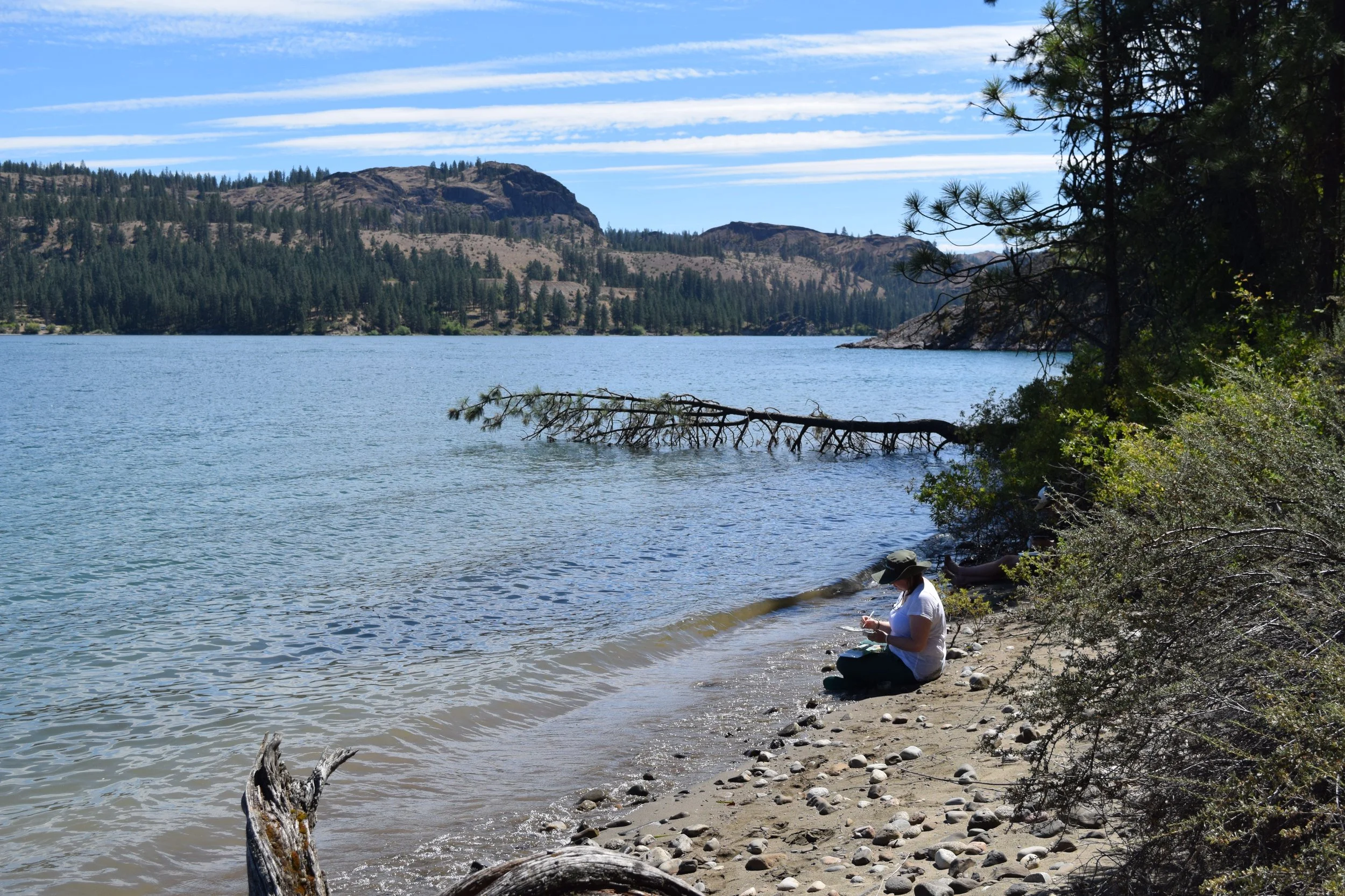  After the lesson, we tried our hand at plein air painting! 
