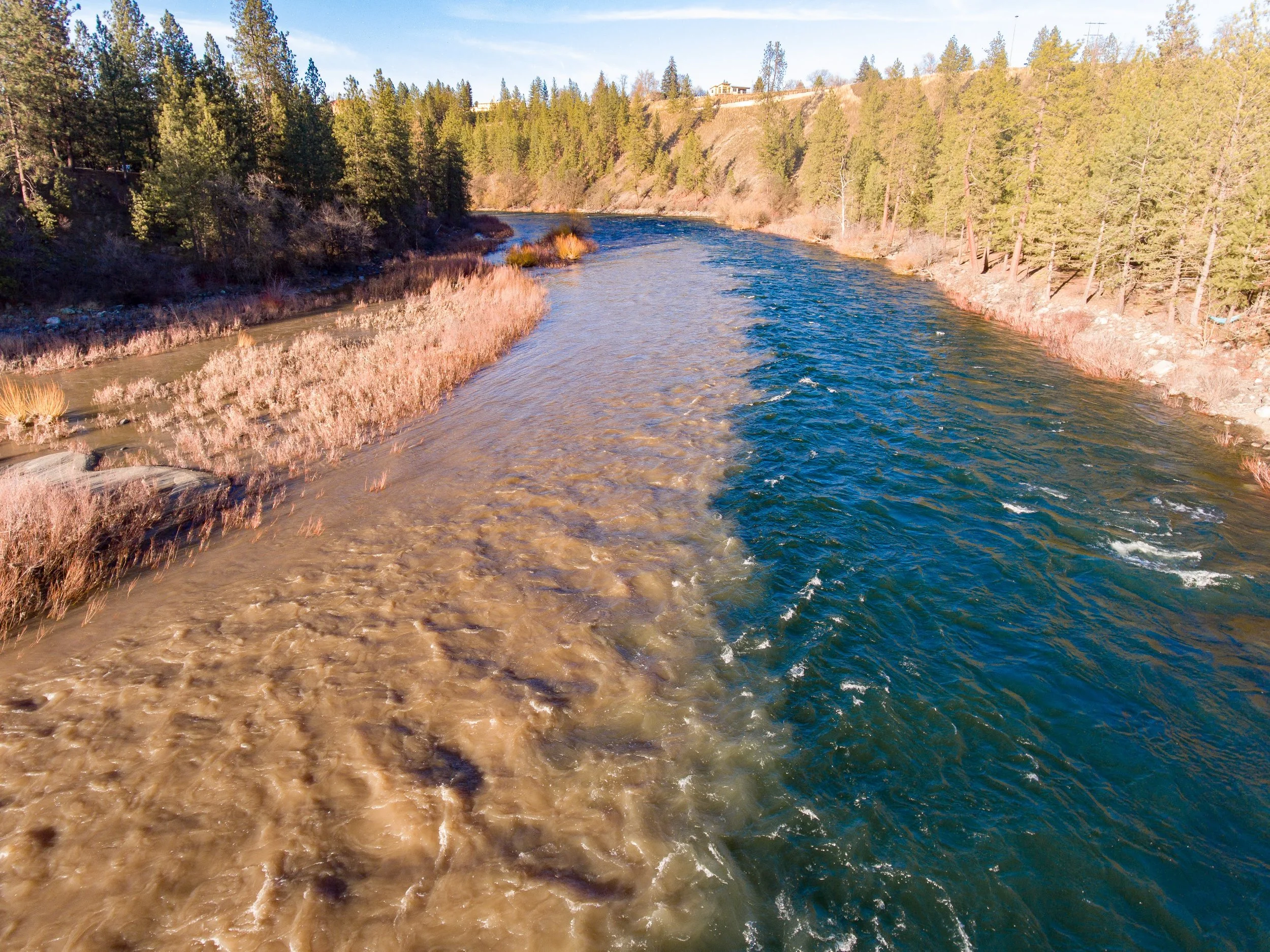 Community Science as an Educational Tool