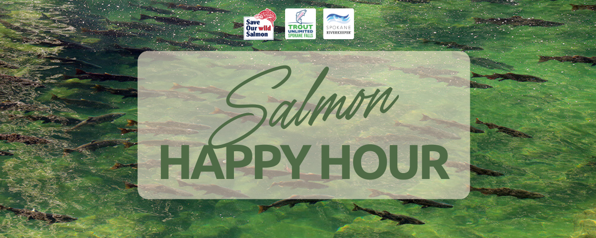 Salmon Happy Hour
