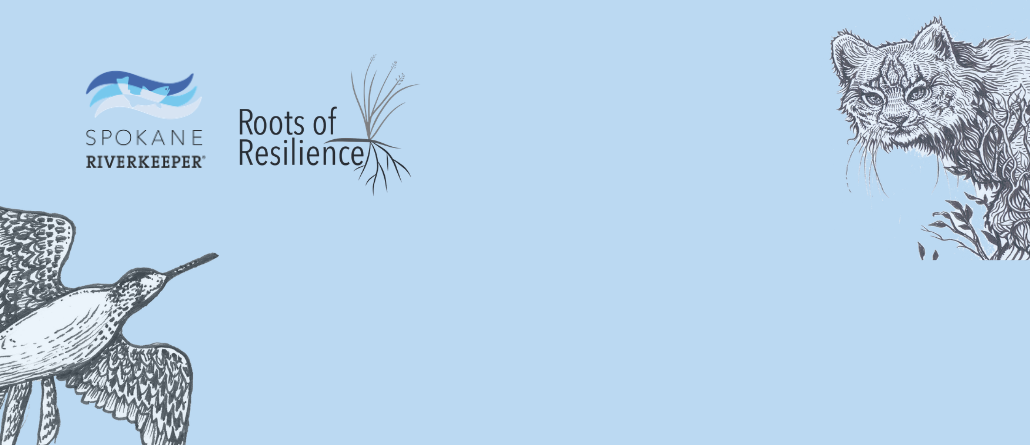 12th Annual Wild and Scenic Film Festival