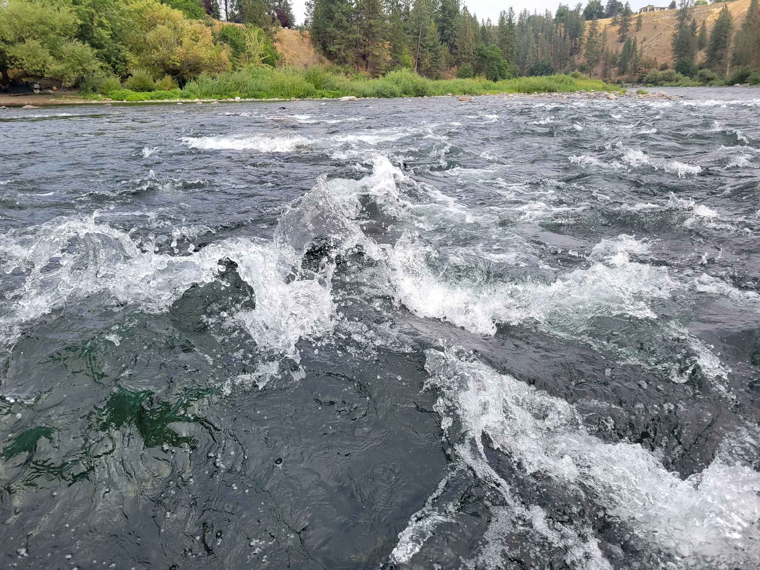 Sustainability Forum at Uptic Studios: Spokane Riverkeeper