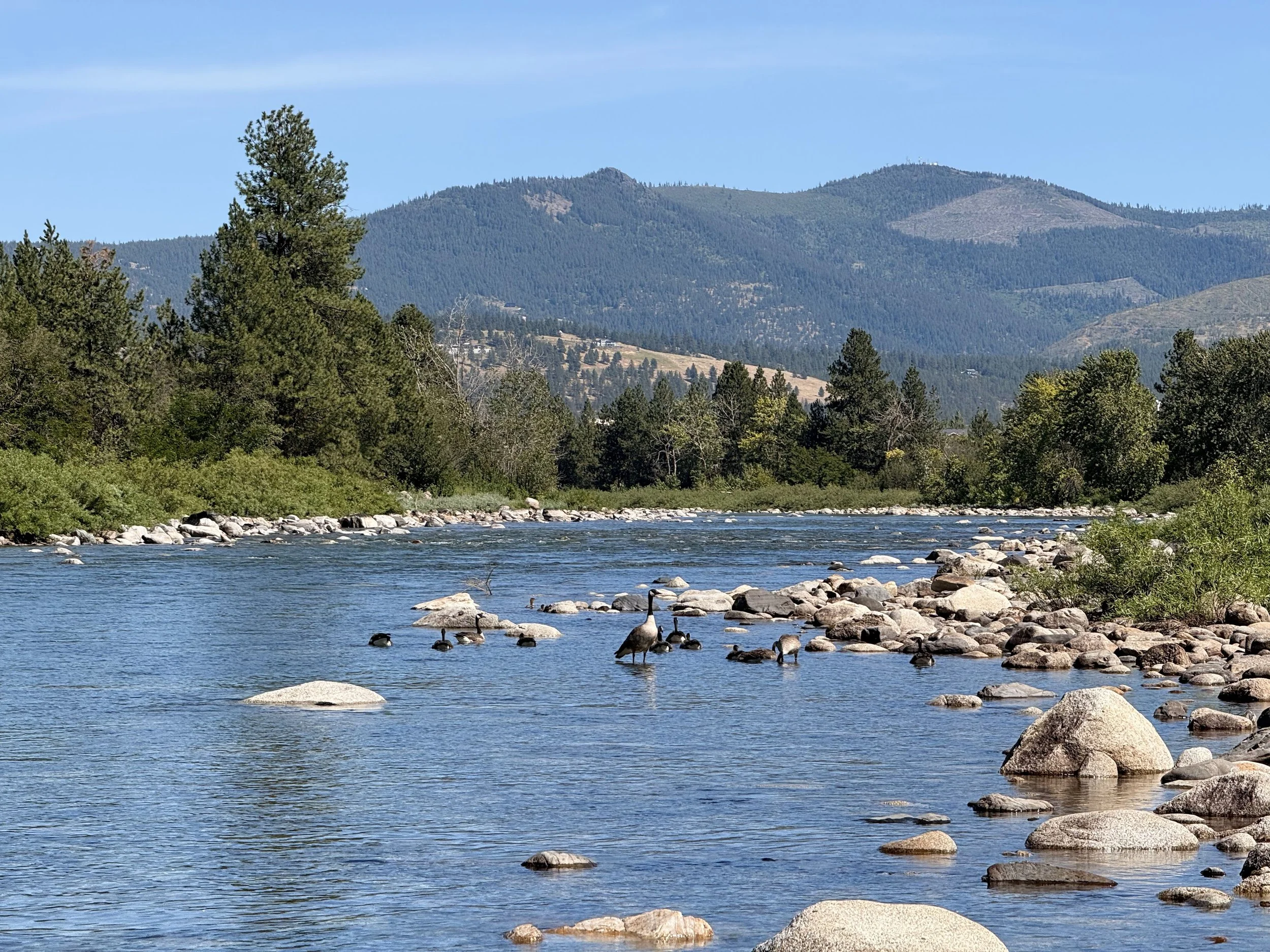 River Flow Update: Dog Days of Summer