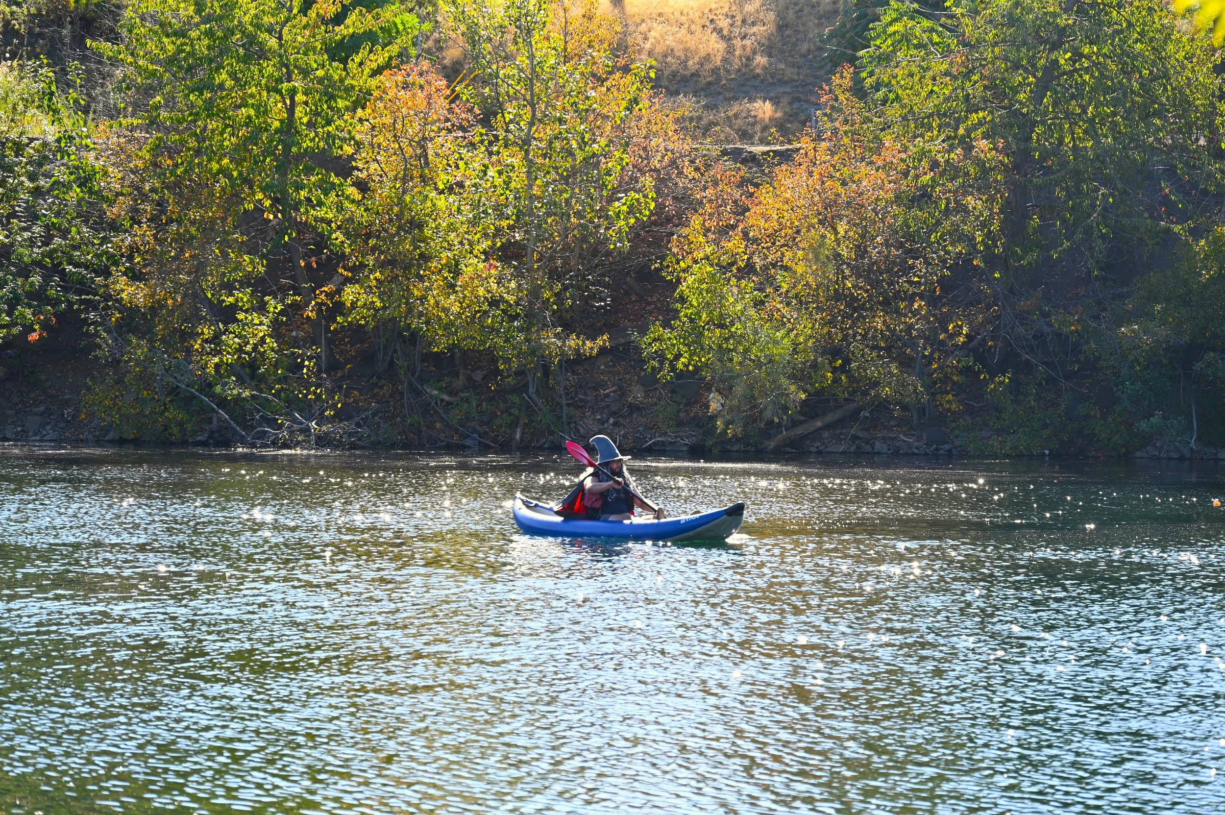 DSC_0211.JPG