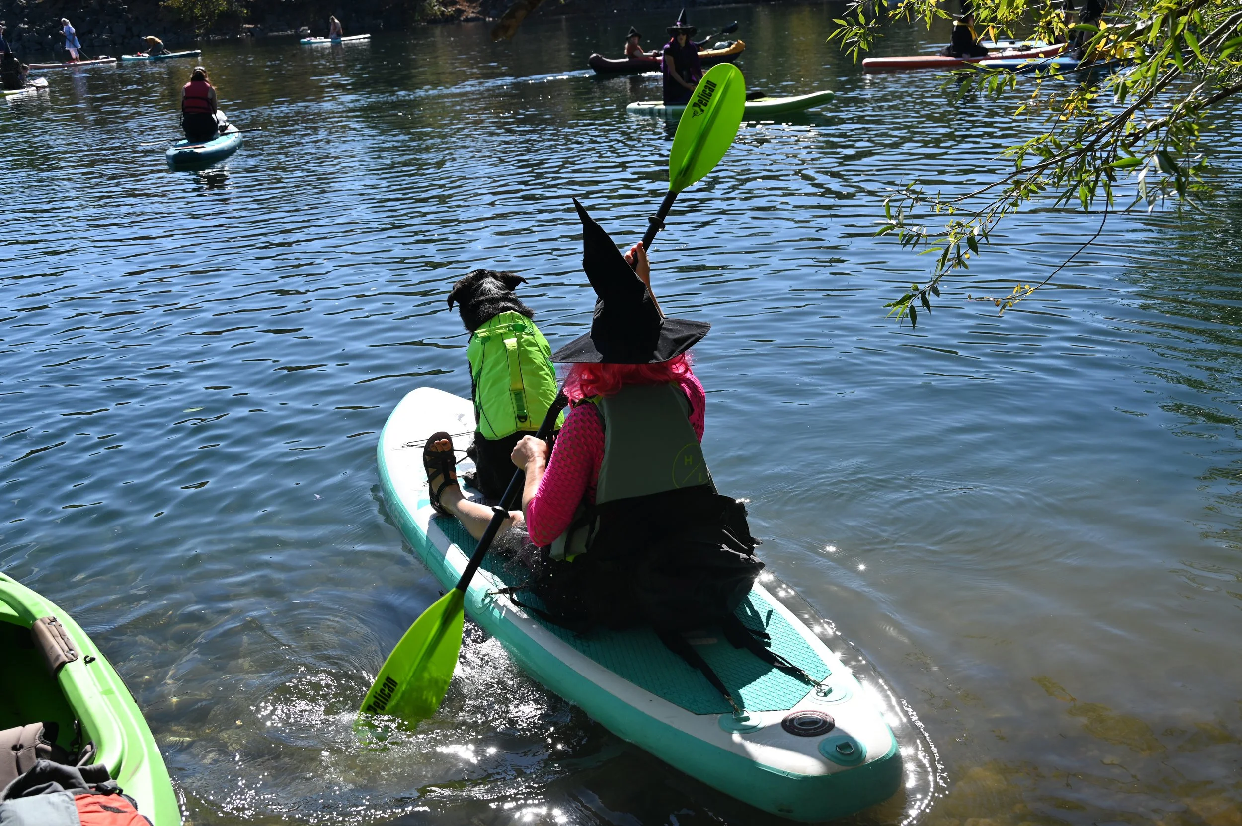 DSC_0097.JPG