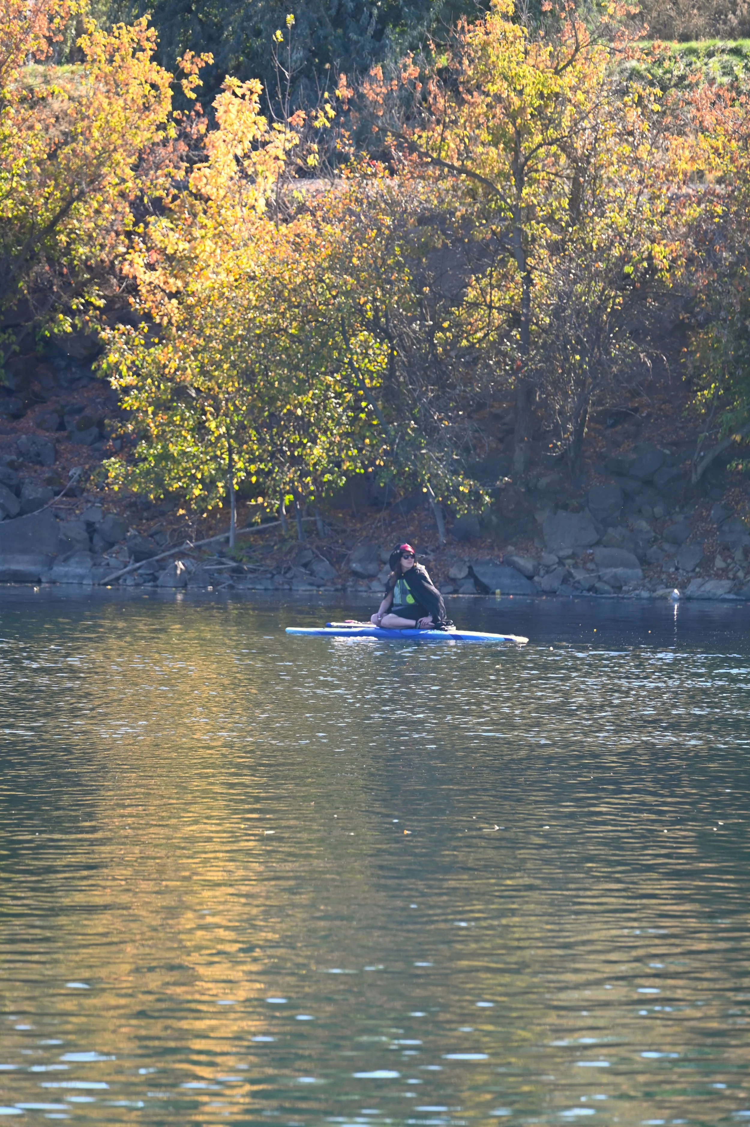 DSC_0210.JPG