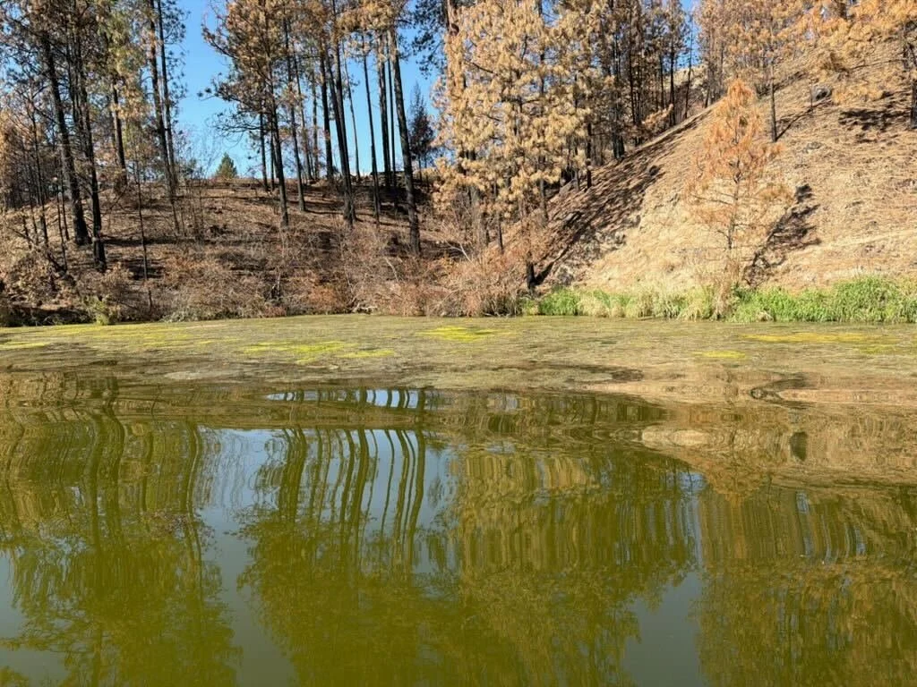 Sampling For Toxic Algae