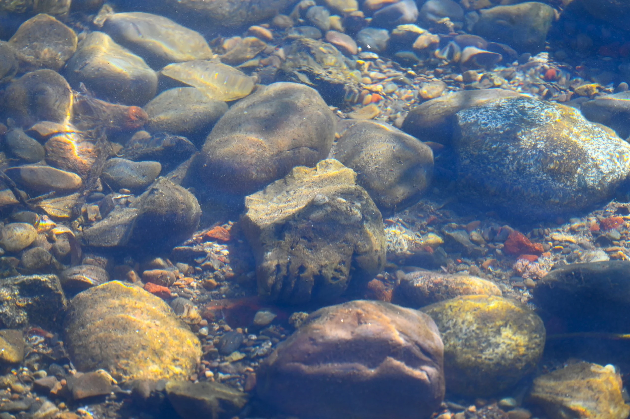 Spokane River Flows: Looking Back at 2026 and Ahead to 2027