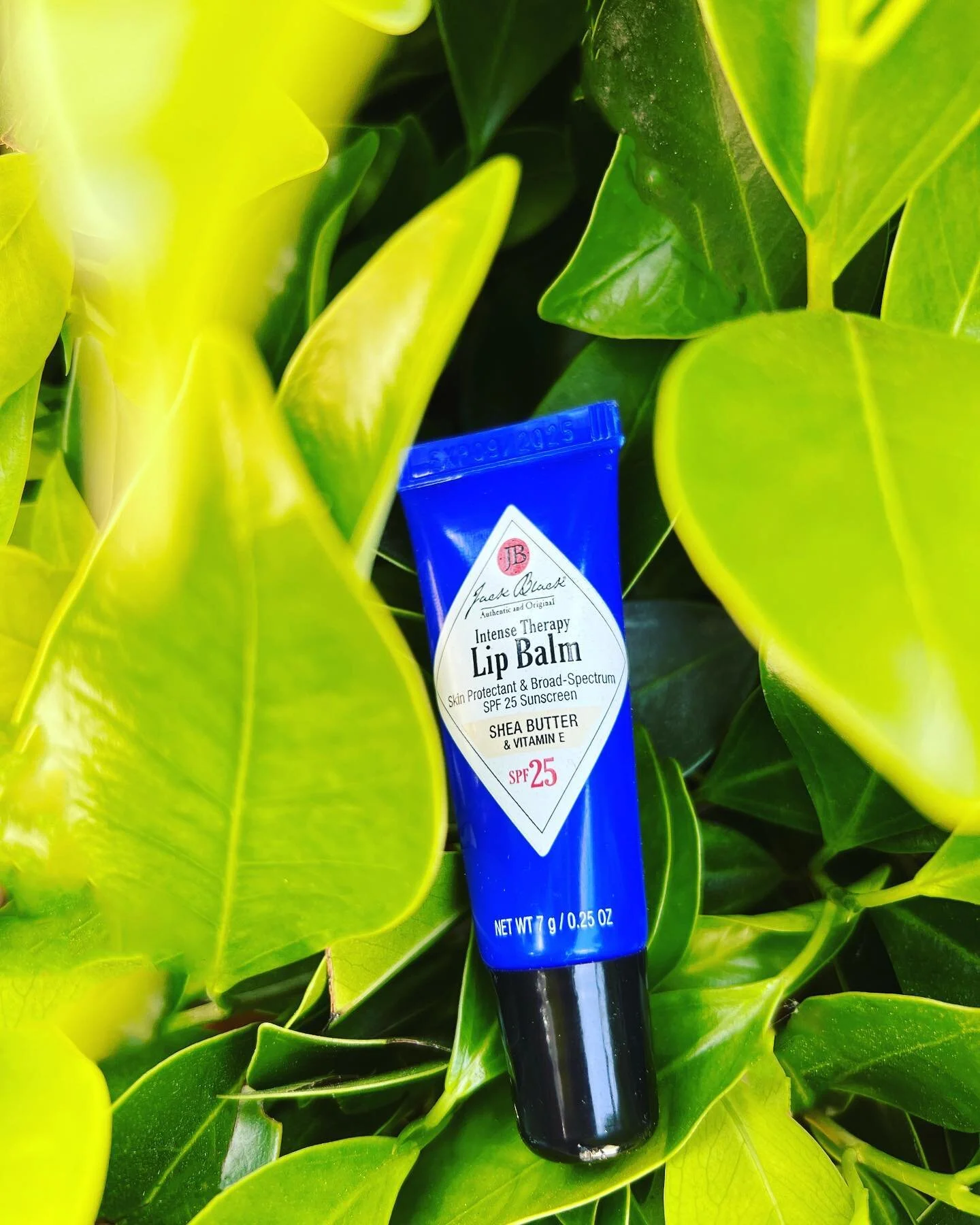 as a budding #artdirector, I am costantly pushing myself to create campaigns just for fun until one day I am hired to do so😎

Introducing my @getjackblack intense lip balm mock product photography. this product inspires me to take my lips to the nex