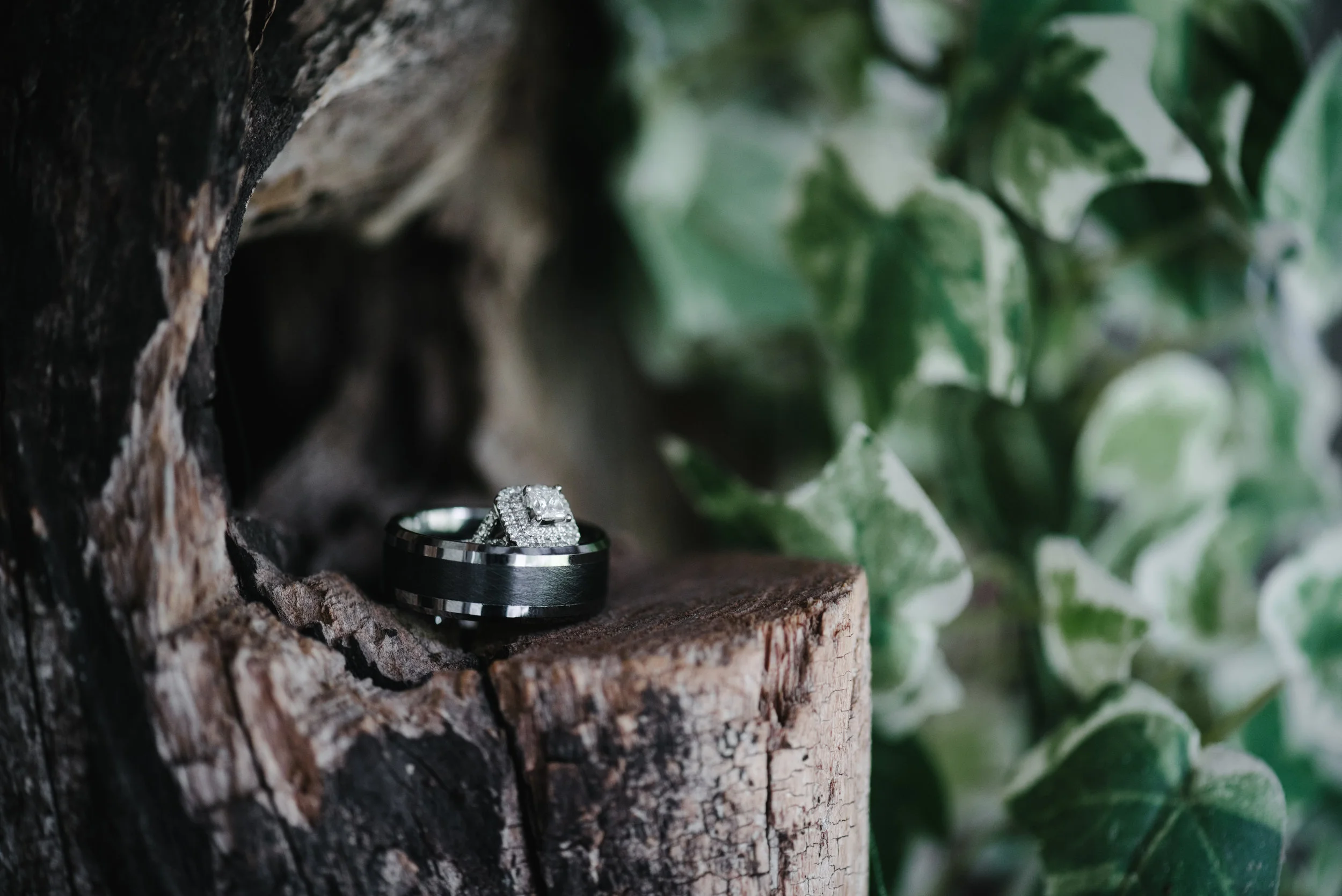 max-meadows-virginia-wedding-photographer.jpg