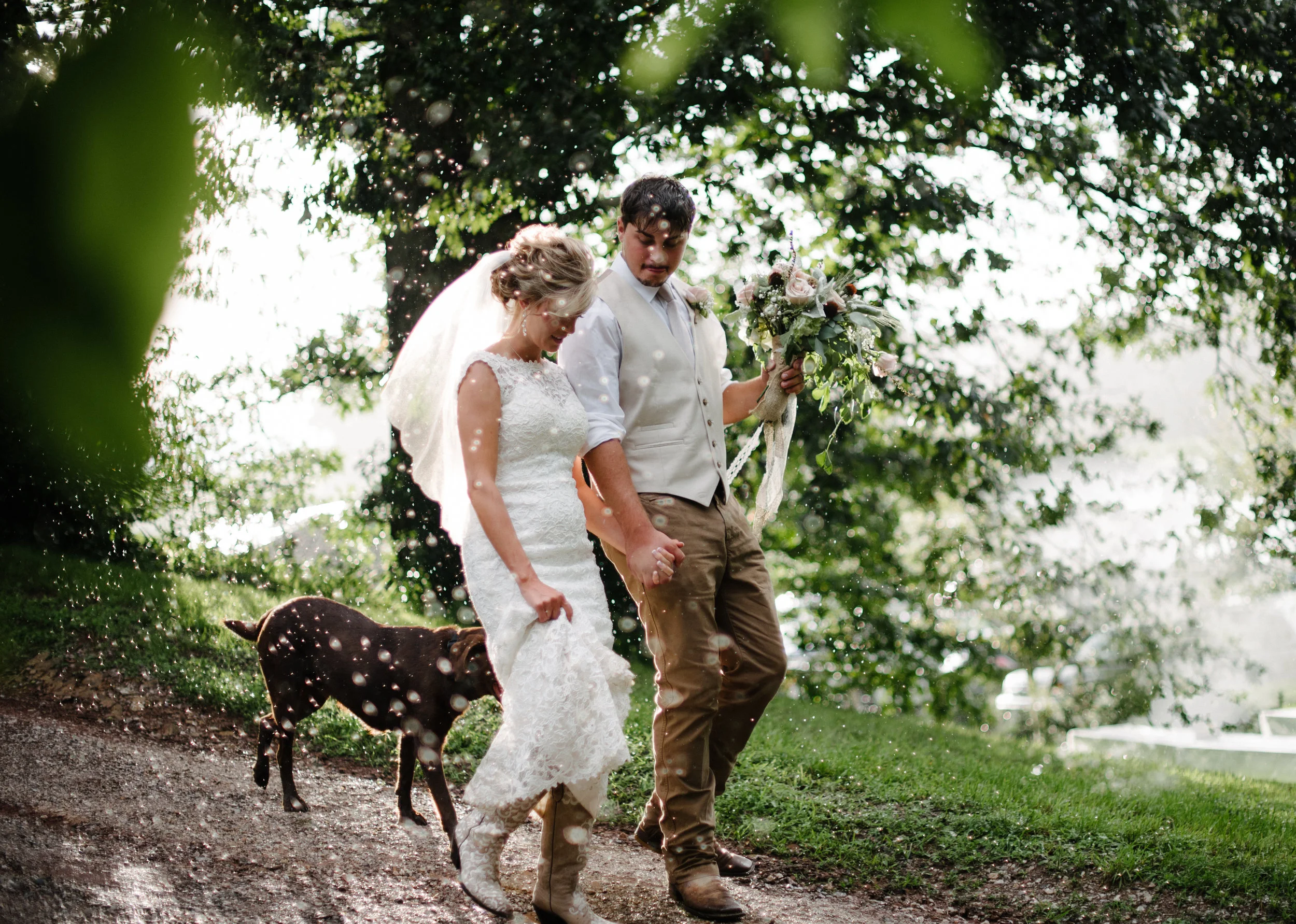 echo-hollow-farm-va-wedding.jpg