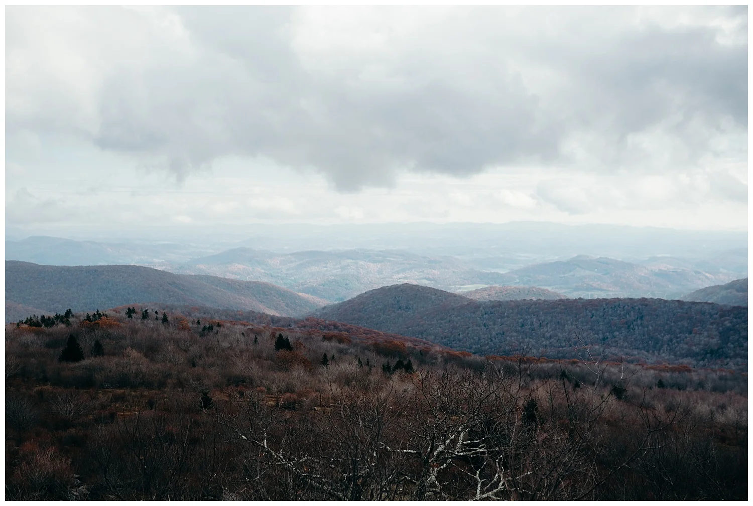 galax-va-wedding-photographer.jpg
