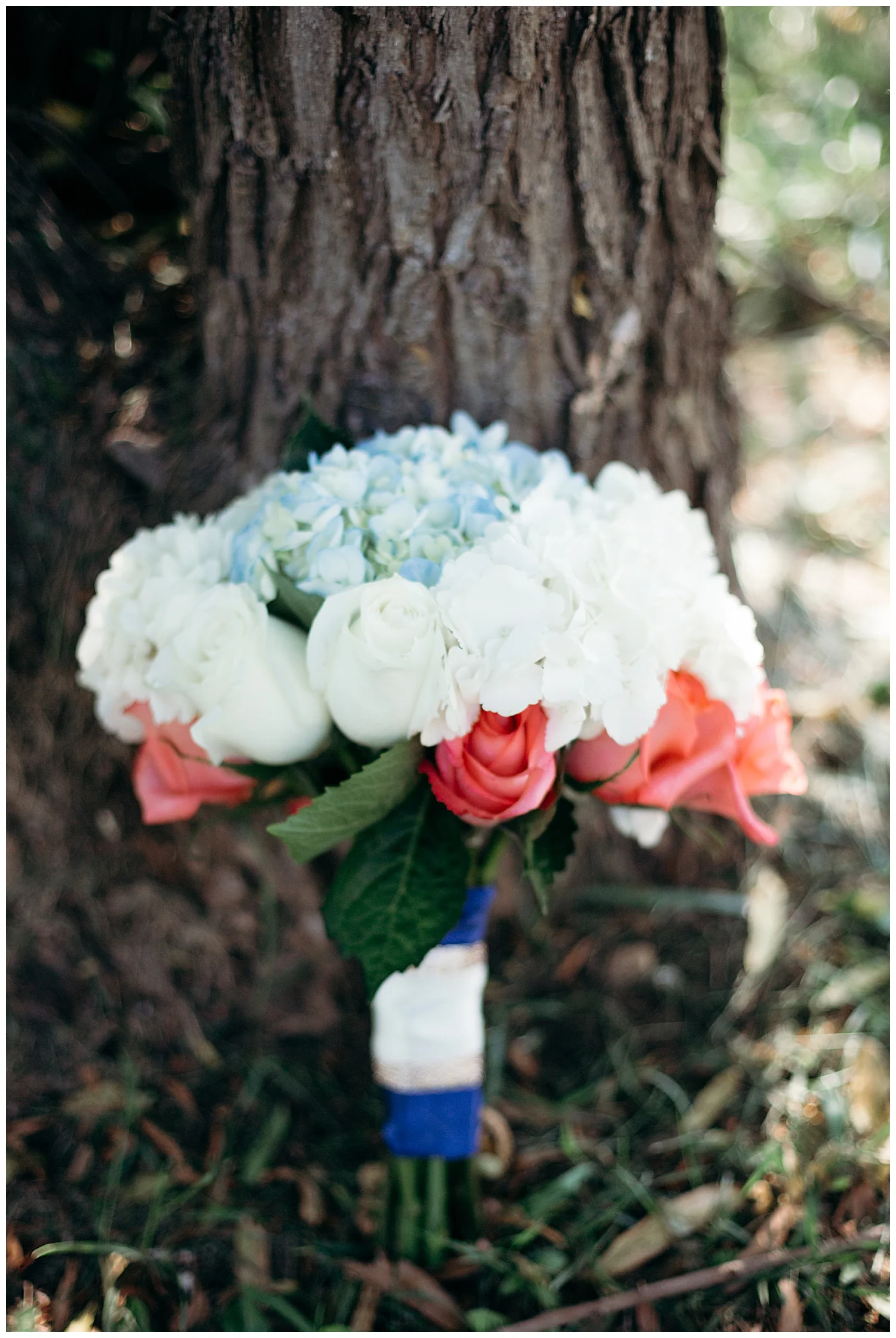 wisteriaridge-callaway-va-wedding-photographer.jpg