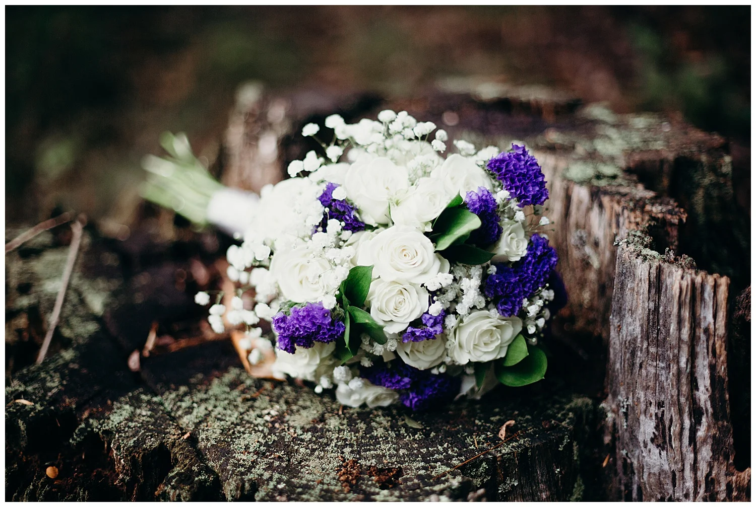 claytor-lake-virginia-wedding.jpg