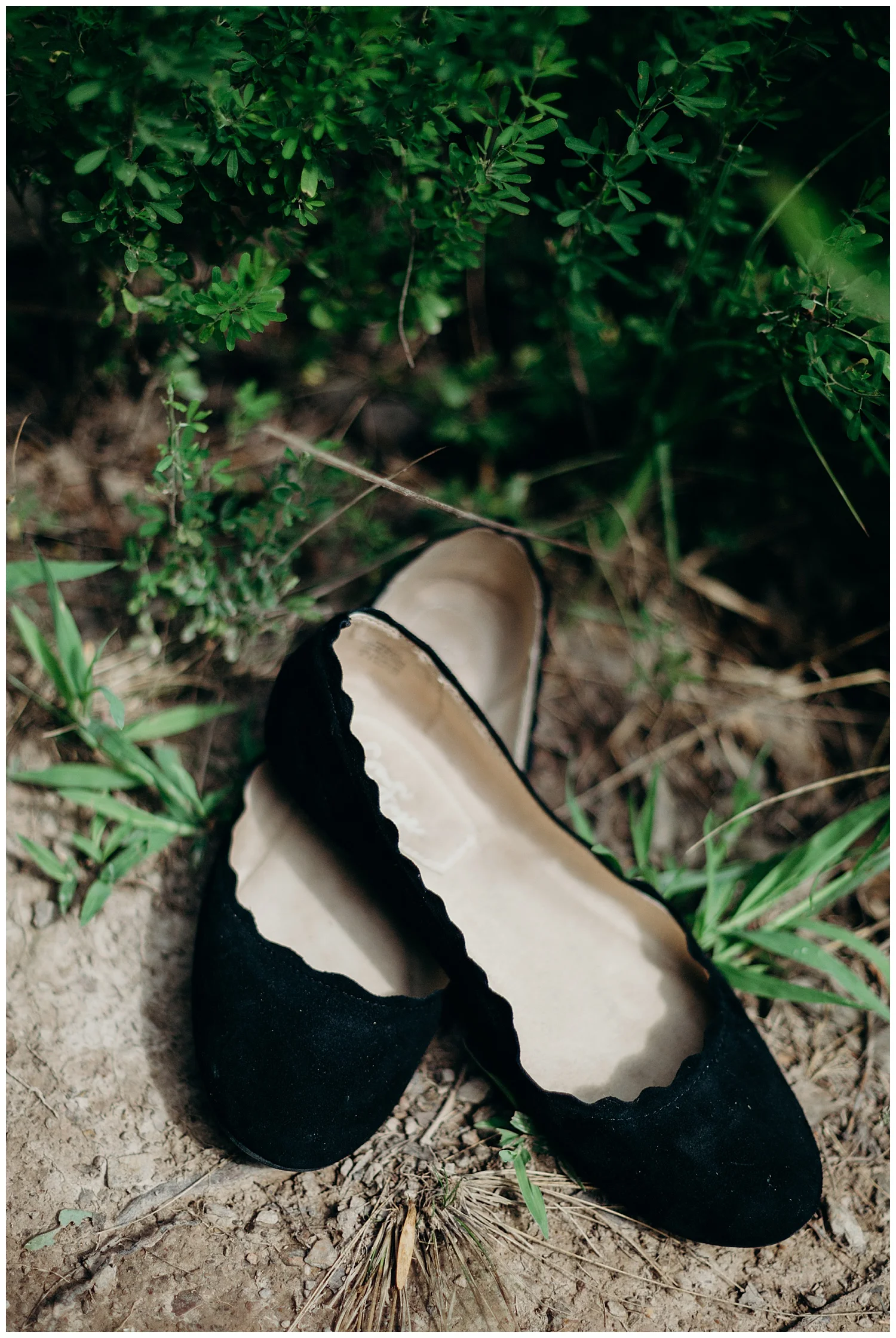 claytor-lake-virginia-wedding.jpg