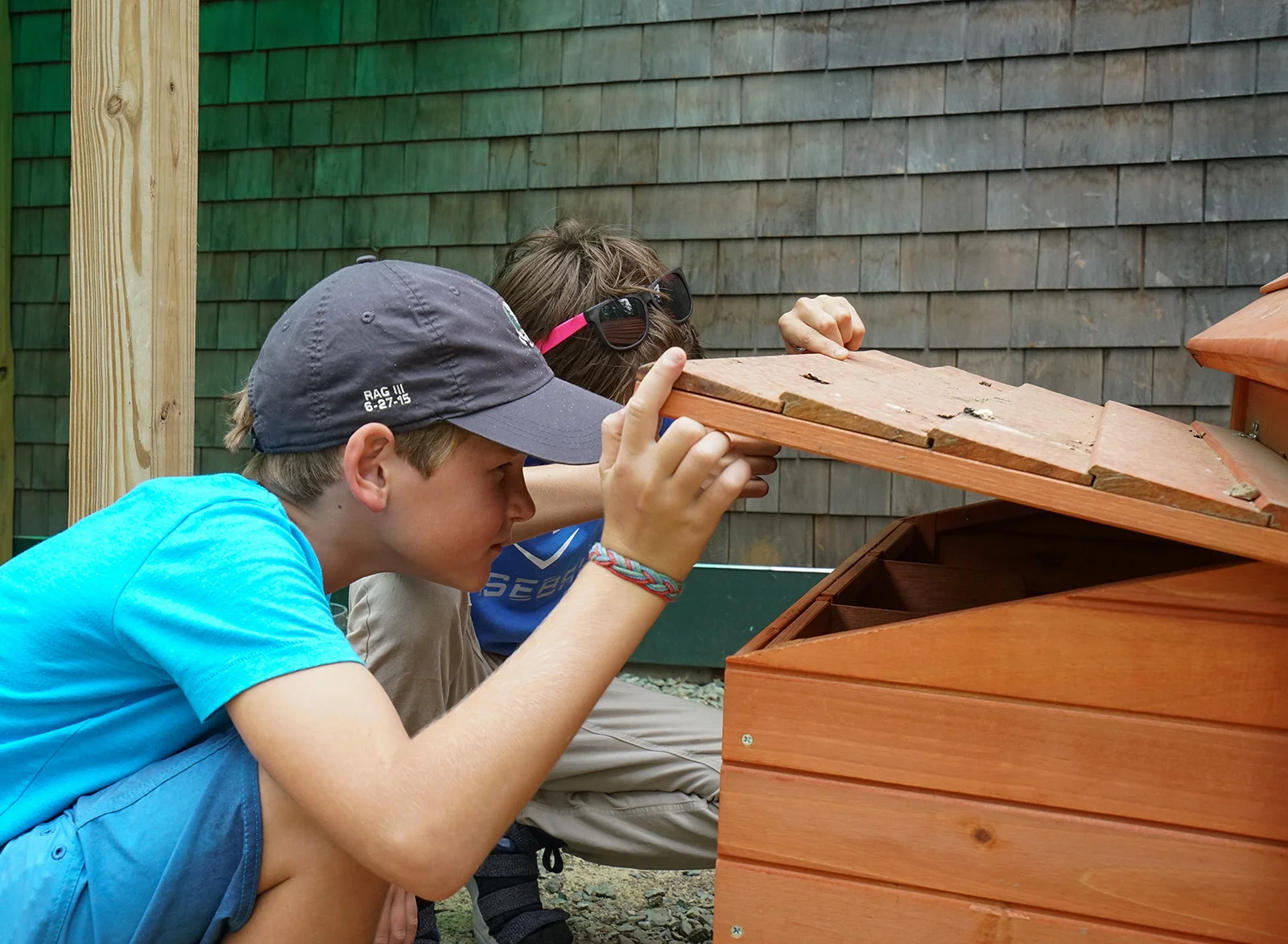 Campers collected 430 eggs from our 12 chickens this summer!