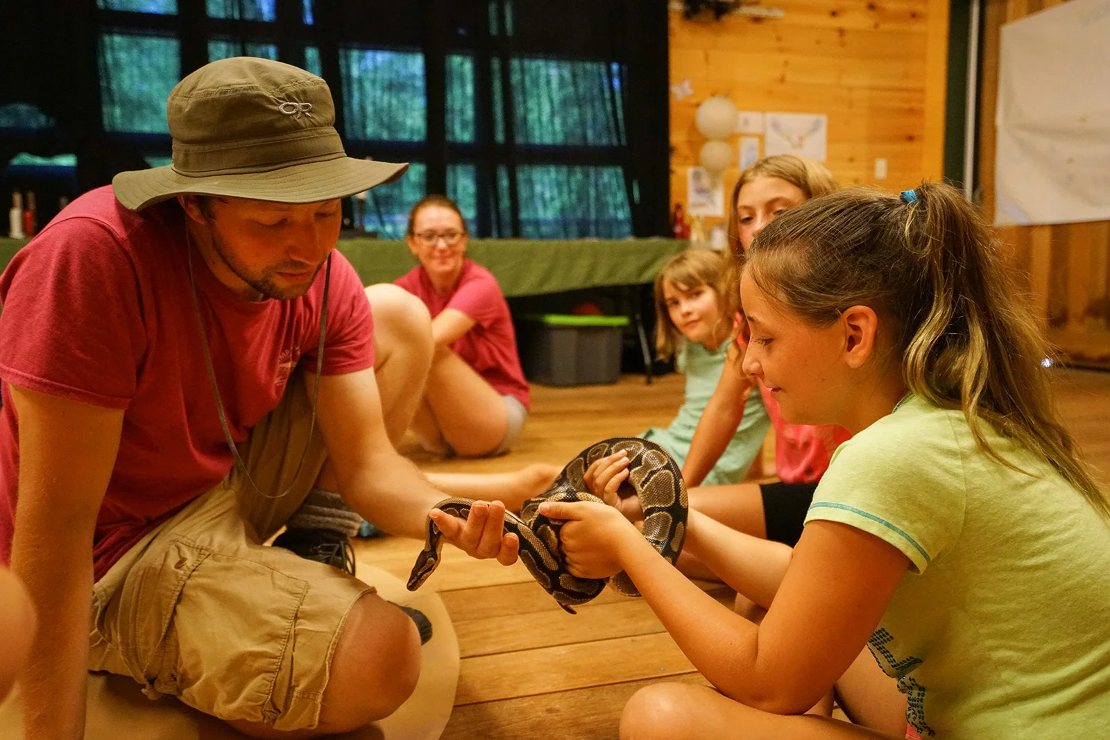 Direct from Kyle: “The only resident animal this summer was a ball python (boots), but we had: Red Eft (newt), Redback Salamanders, Pickerel frogs, Wood frogs, Leopard frogs, Deer mice (live trapped in back room and humanely relocated - kids never touched them to avoid possible disease transmission), Midland painted turtle (discovered on road, released the same day), Dragonflies/ damselflies/ FishFly, Harvestmen, Various Arachnids, a multitude of insects, including Luna Moths/ Tiger Swallowtails, and an invasive fire jewel beetle. Some lost animals rescued from inside or around the cabin, including a nuthatch, female sapsucker, juvi hummingbird, and a few sneaky chipmunks and red squirrels. Also lots of songbird visitors at feeders. Goldfinch, Purple Finch, nuthatch, Junco, Blue Jay, Mourning Dove, Sparrows, Chickadees, a rando Crow”. Thanks Nature Kyle!