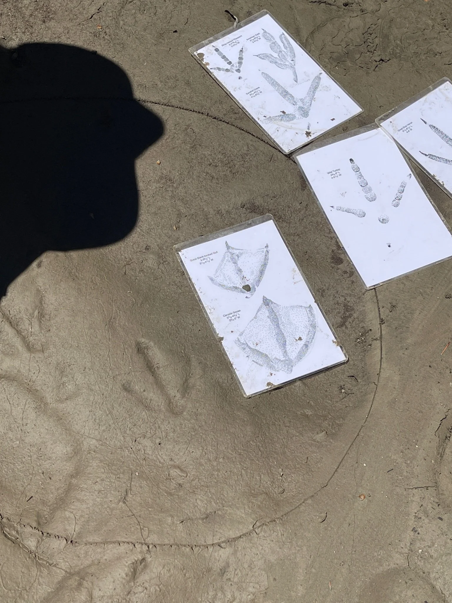 General Public - Wildlife Tracking Certification &amp; Workshop