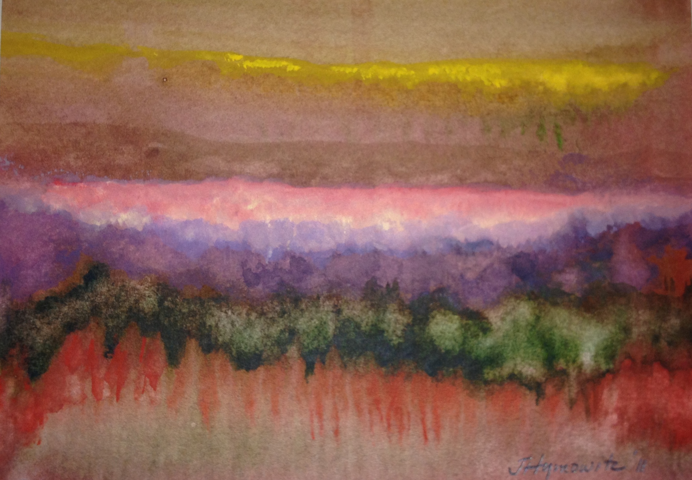 Light Within The Forest Deep