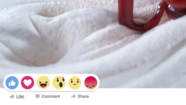 Sonic Shakes Reactions