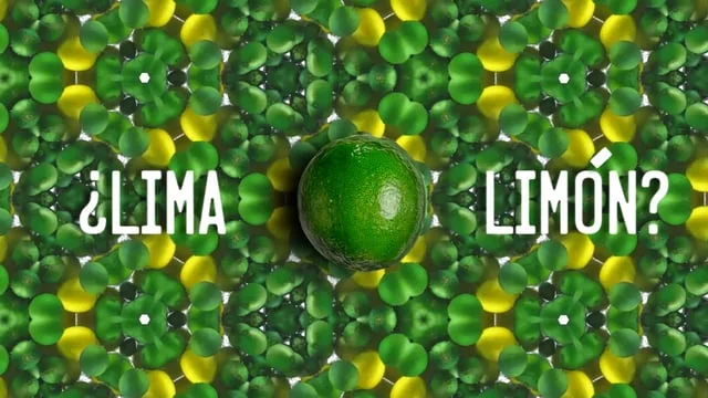 Sonic Lemonades Kaleidoscope Digitalvid 1