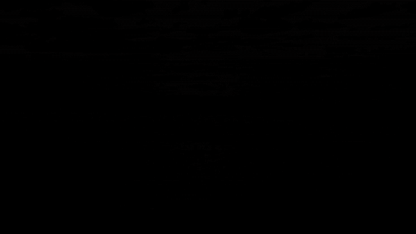 ezgif.com-video-to-gif (1).gif