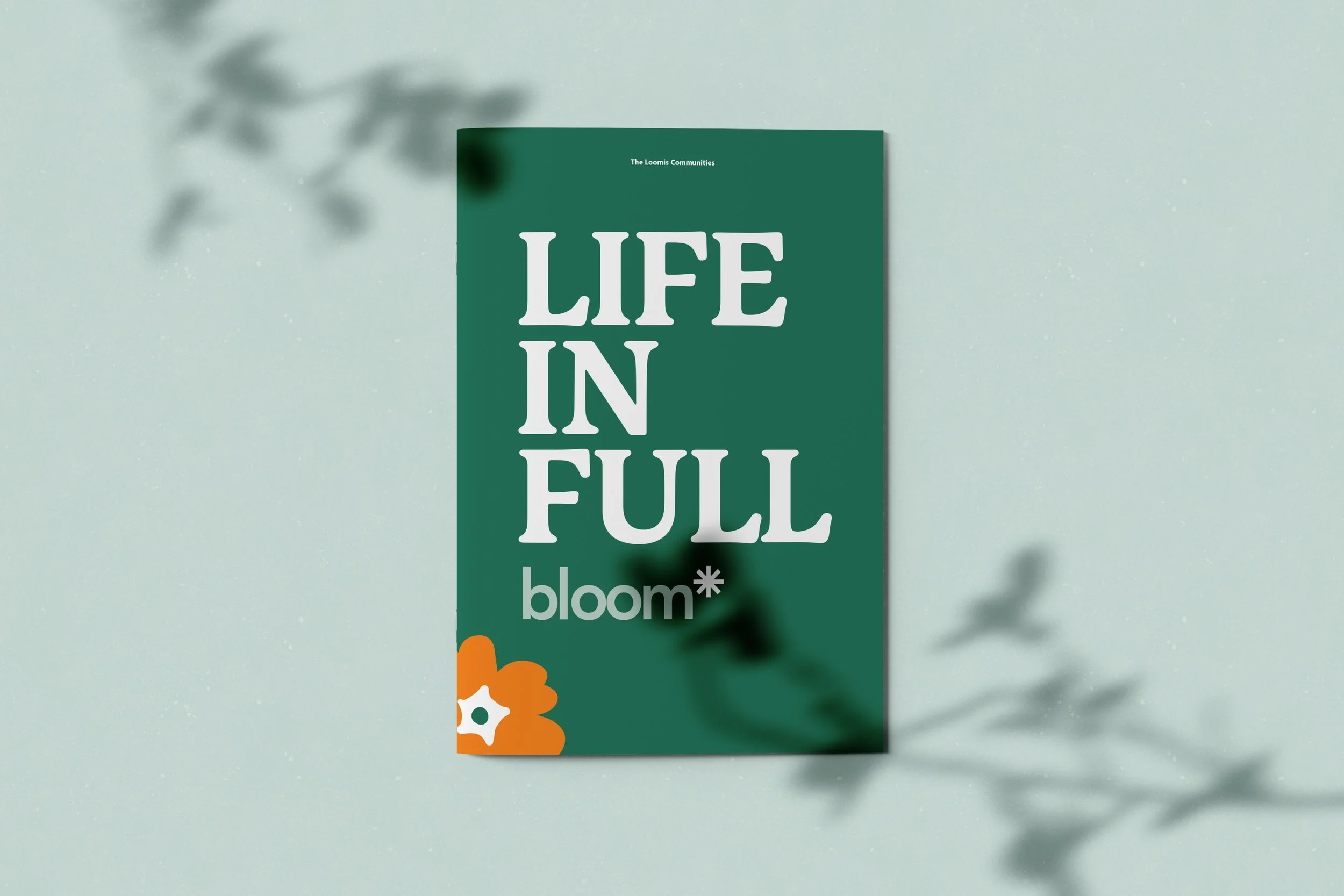 andrews_web_cs_loomis_bloombookcover_2.jpg