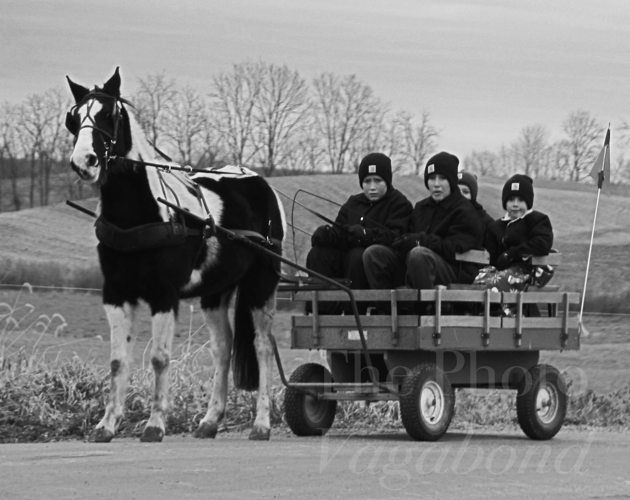 Amish001.jpg
