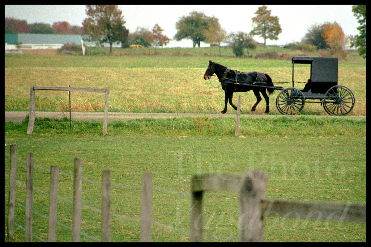 Amish016.jpg