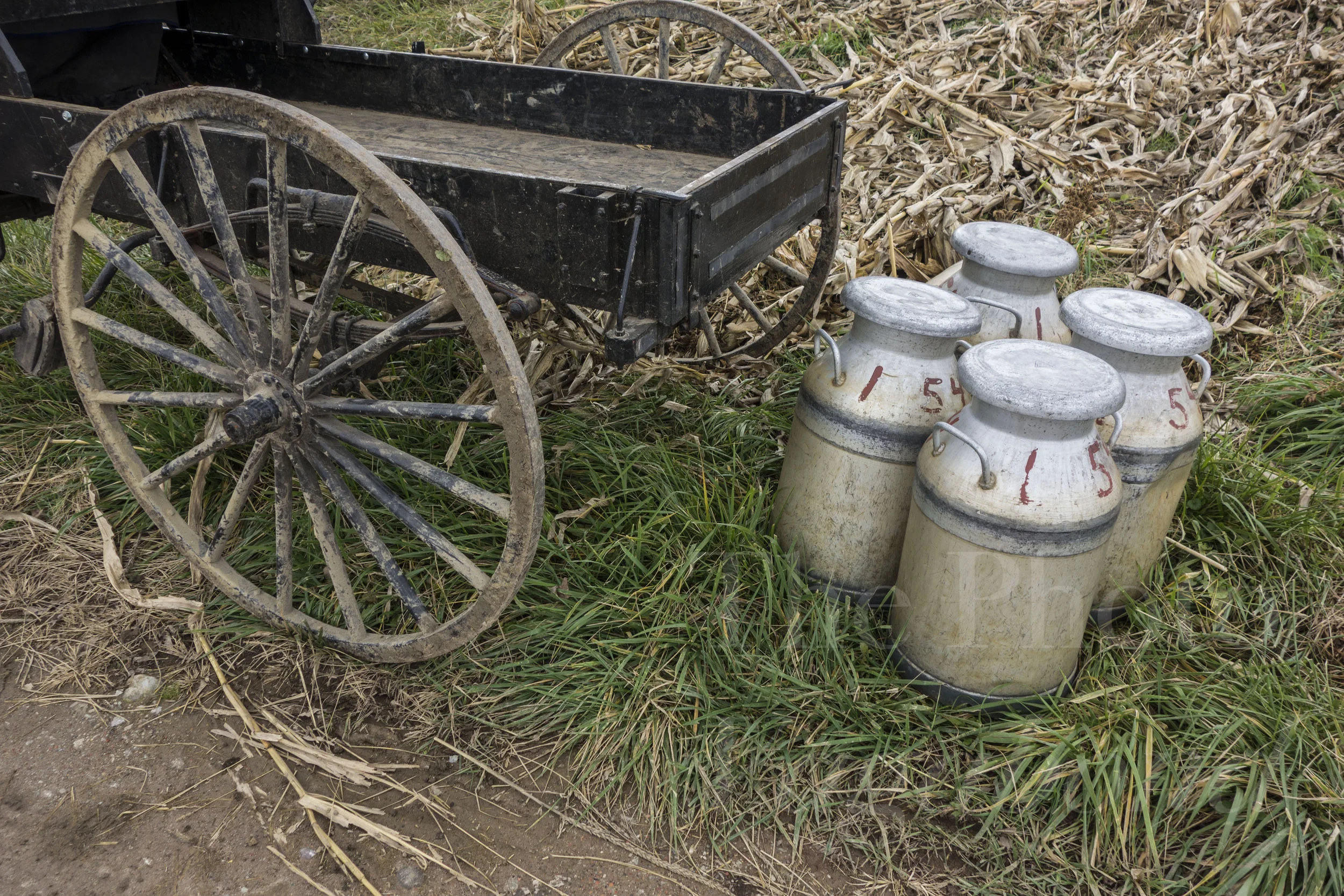 Amish014.jpg
