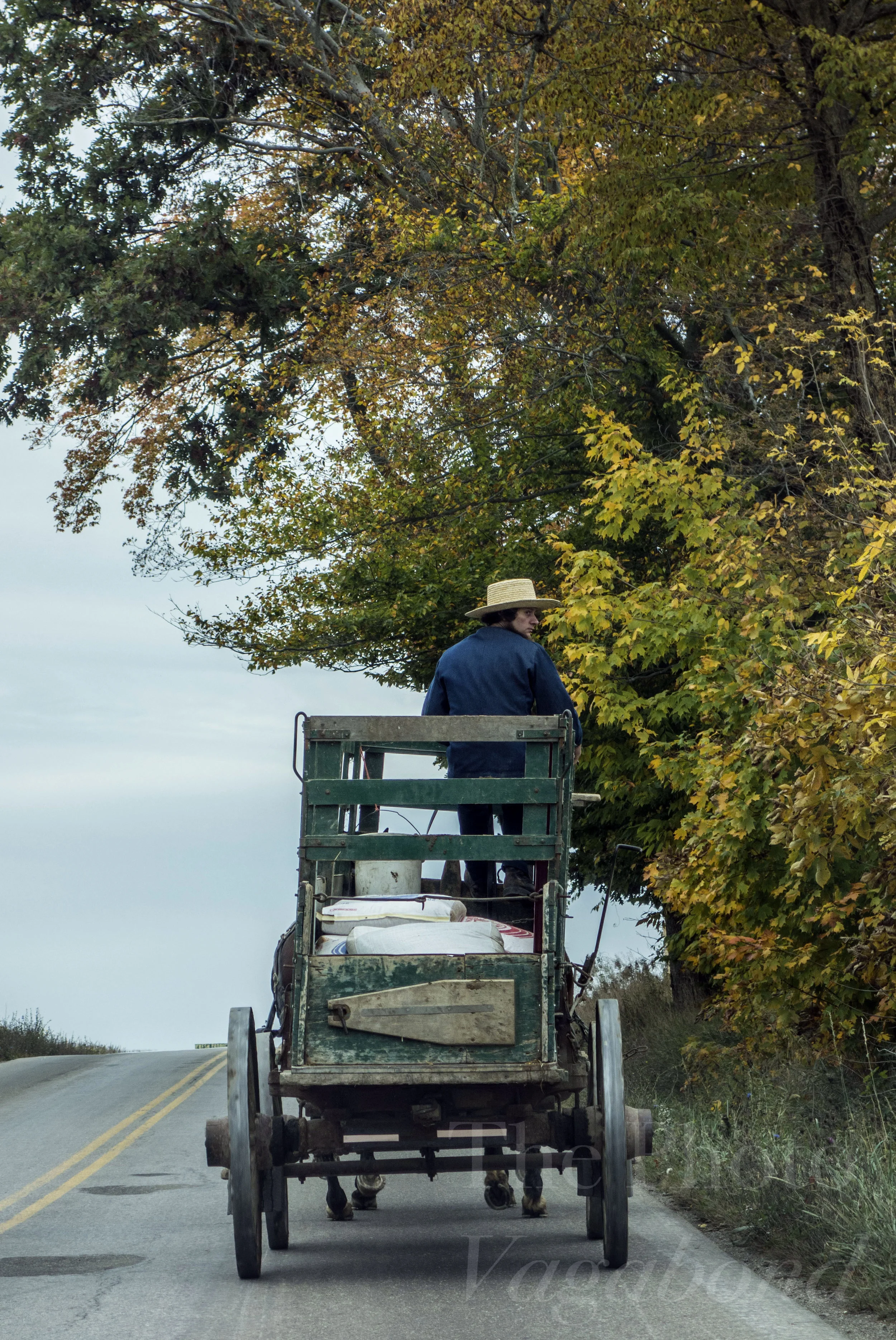 Amish022.jpg