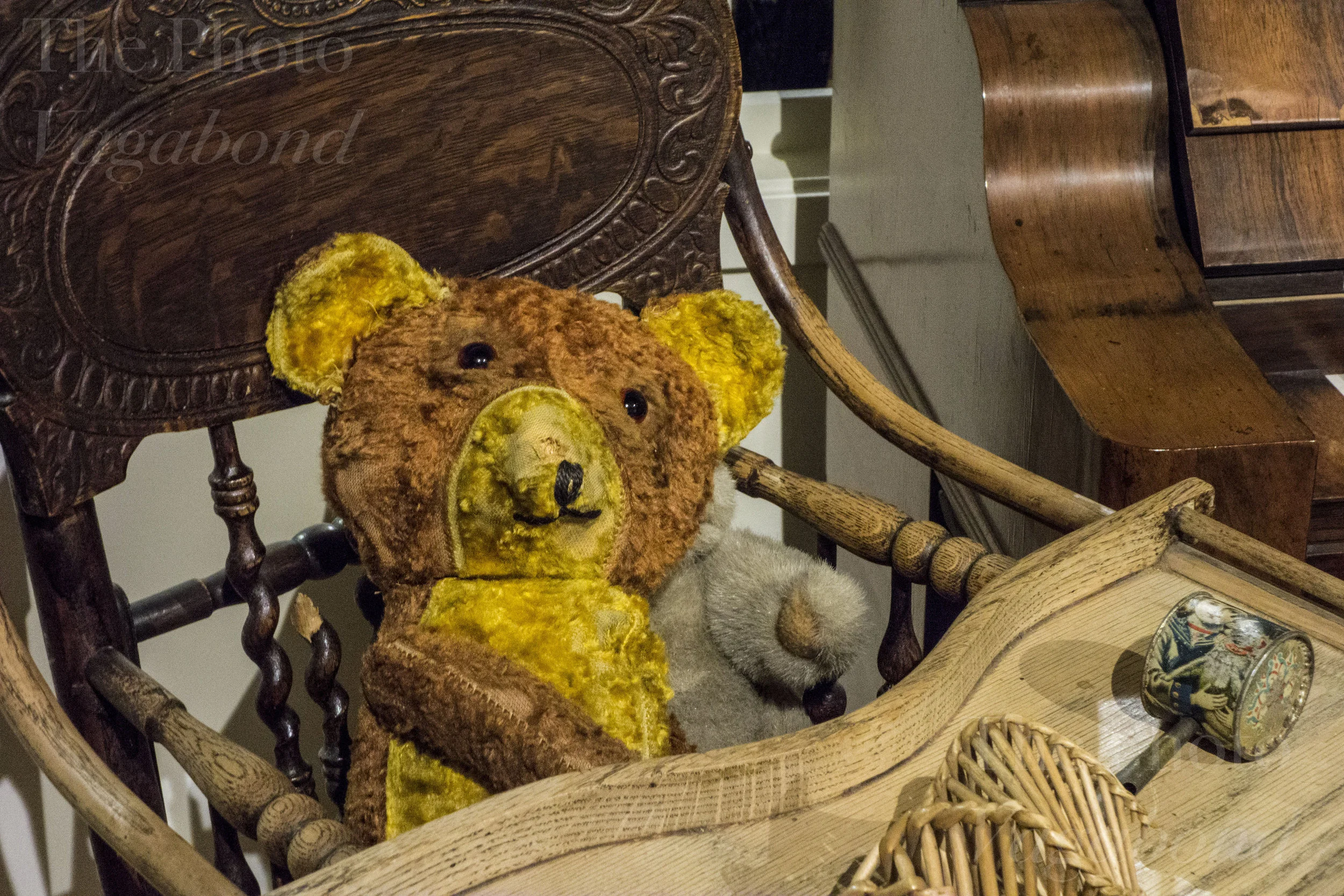 Bears001.jpg