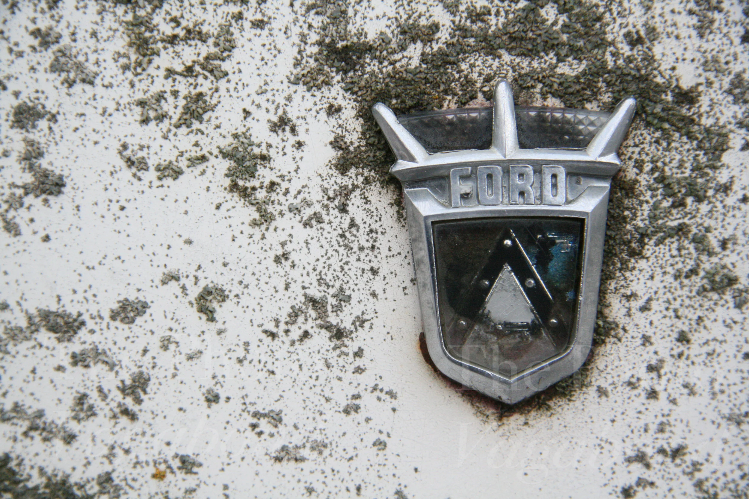 Ford Mildew Emblem.JPG