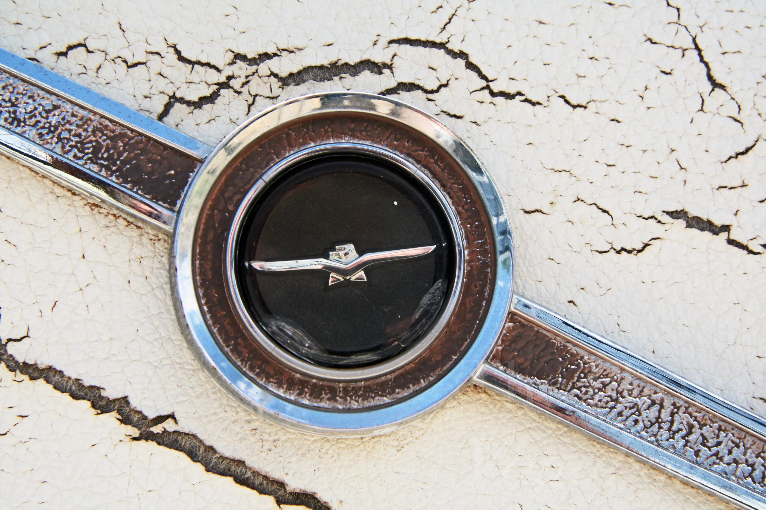 Ford TBird Emblem Left.JPG