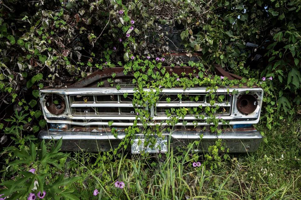 Flowered Grill.jpg