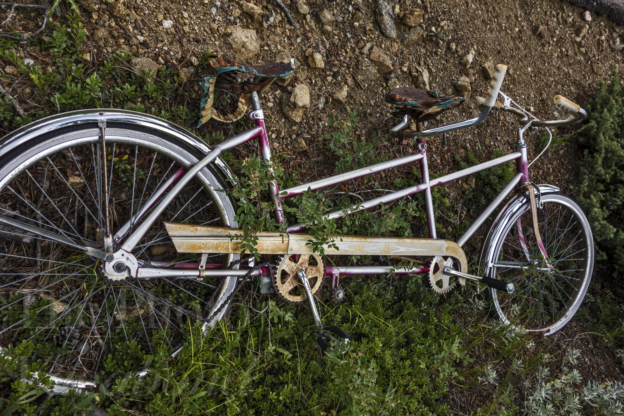 Bikes013.jpg