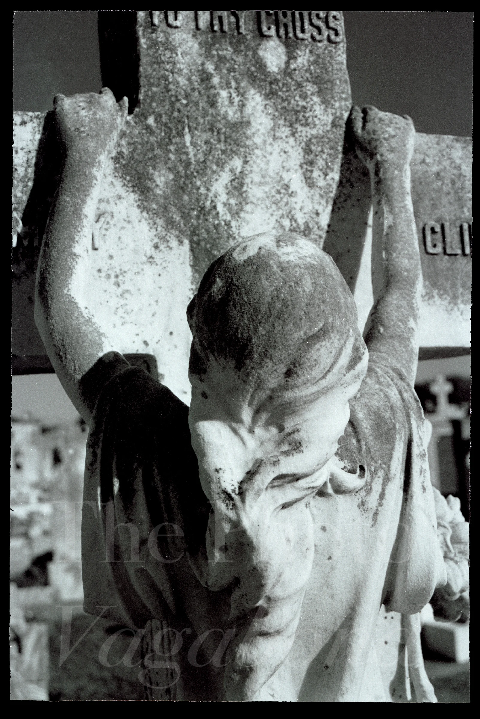Bodies001.jpg