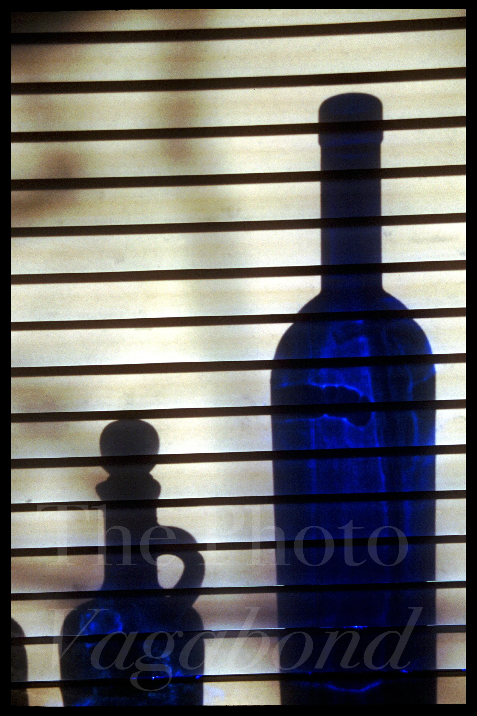 Bottles002.jpg