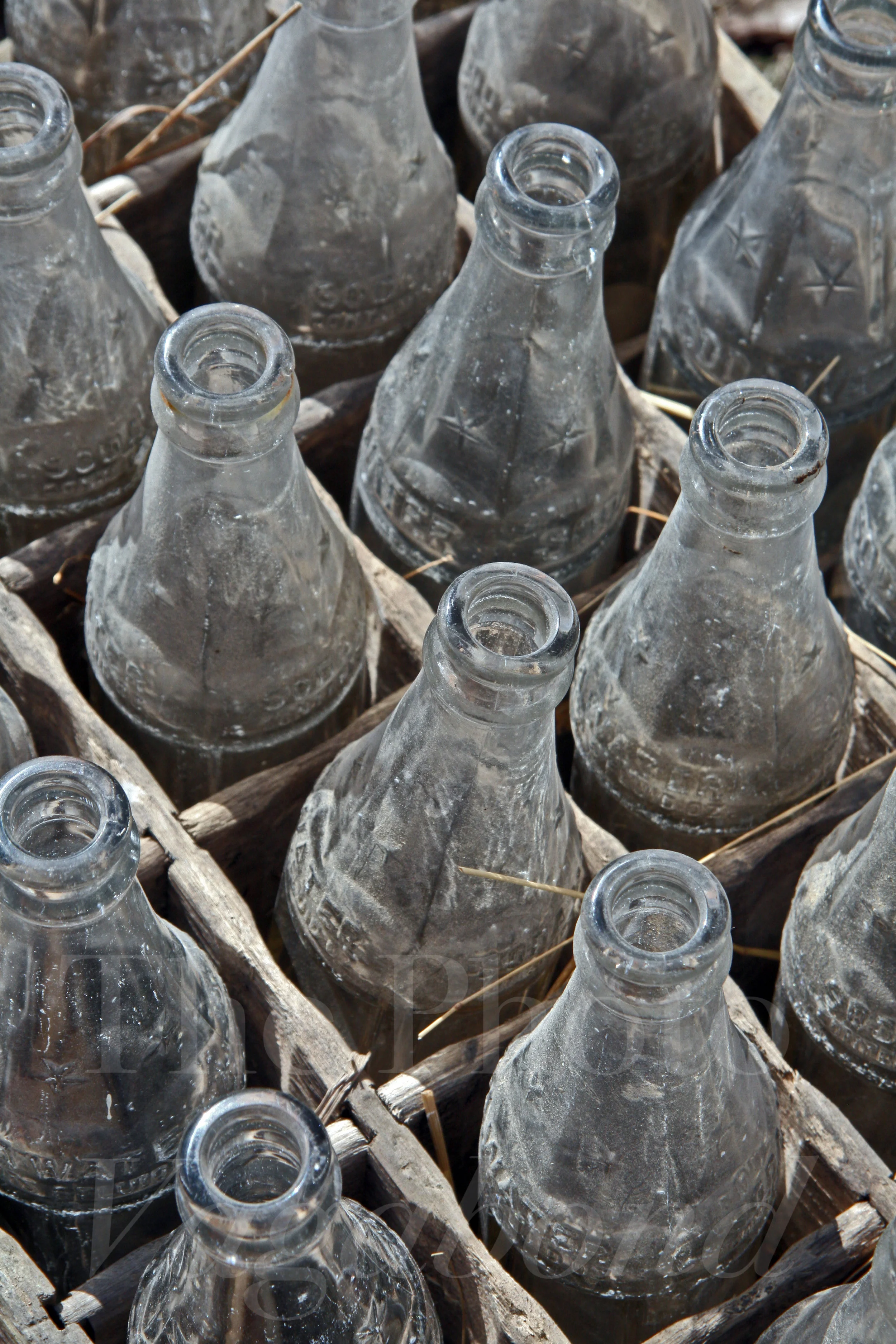 Bottles010.JPG