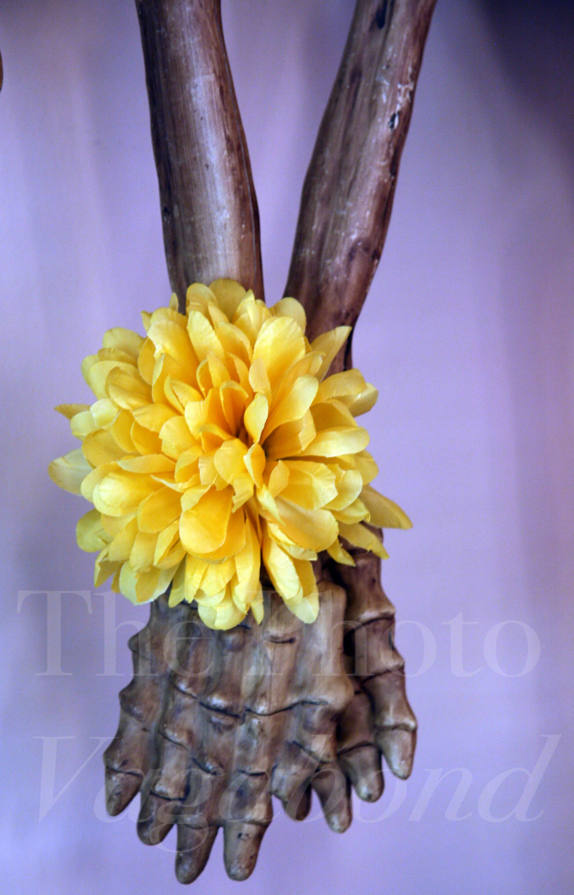 Day of the Dead008.JPG