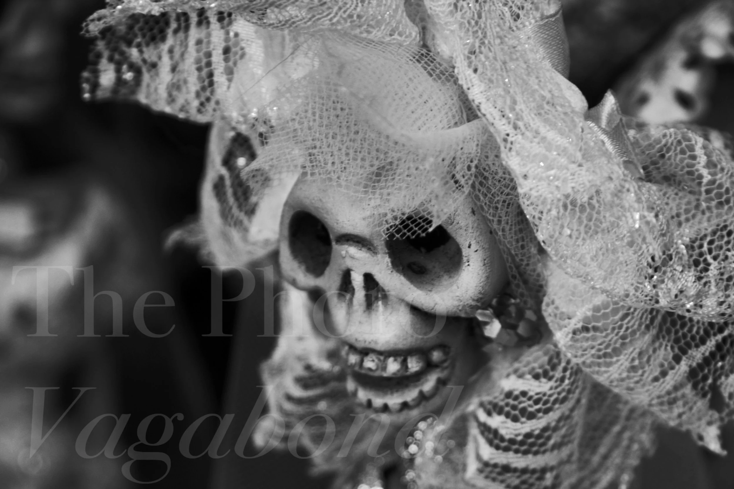 Day of the Dead062.JPG
